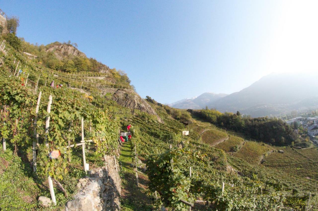 Winebnb ソンドリオ エクステリア 写真